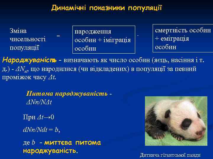 Динамічні показники популяції Зміна чисельності популяції = народження особин + іміграція особин - смертність