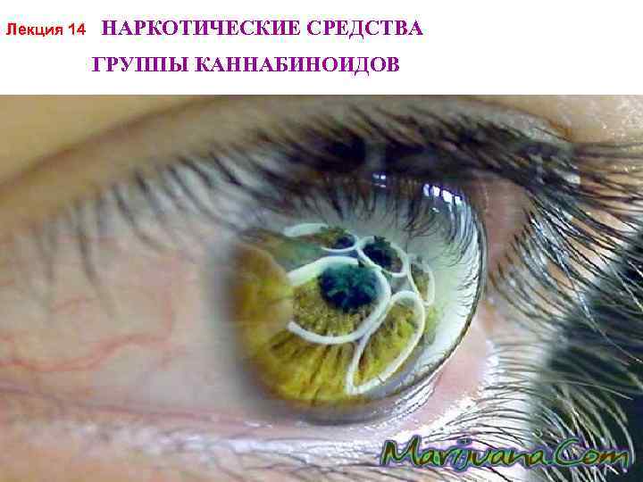 Лекция 14 НАРКОТИЧЕСКИЕ СРЕДСТВА ГРУППЫ КАННАБИНОИДОВ 