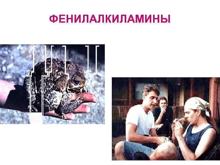 ФЕНИЛАЛКИЛАМИНЫ 