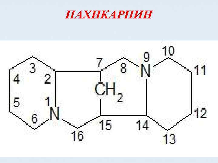 ПАХИКАРПИН 