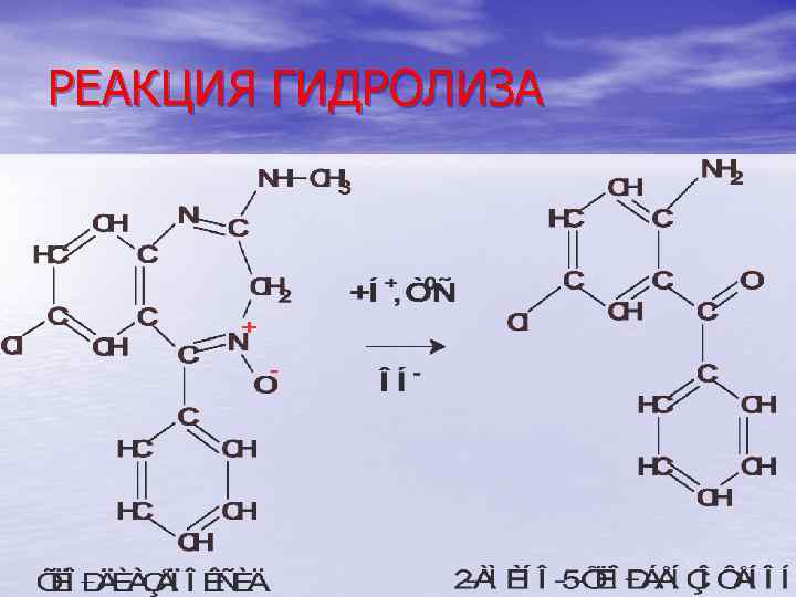 РЕАКЦИЯ ГИДРОЛИЗА 