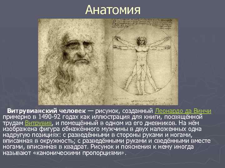 Анатомия Витрувианский человек — рисунок, созданный Леонардо да Винчи примерно в 1490 -92 годах
