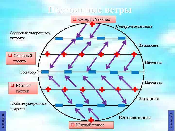 Постоянные ветры q Северный полюс Северо-восточные Северные умеренные широты Западные q Северный тропик Пассаты