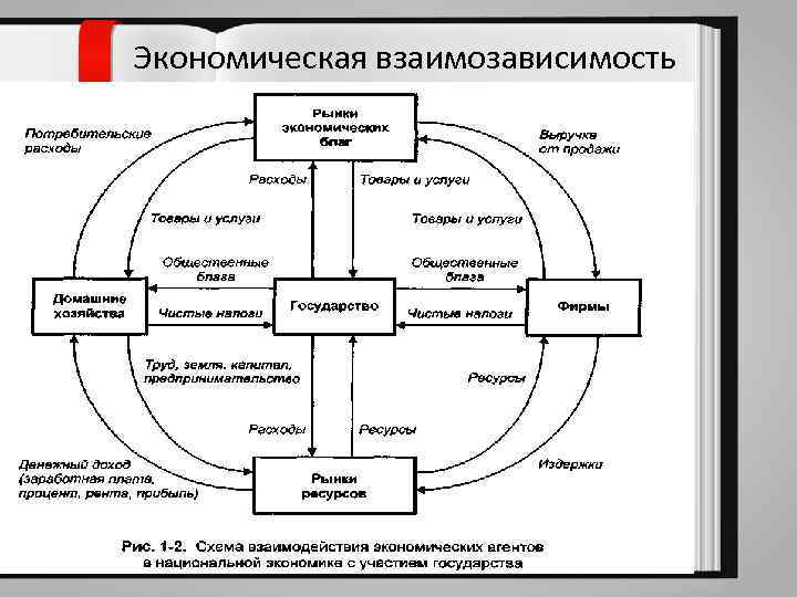 Экономическая взаимозависимость 