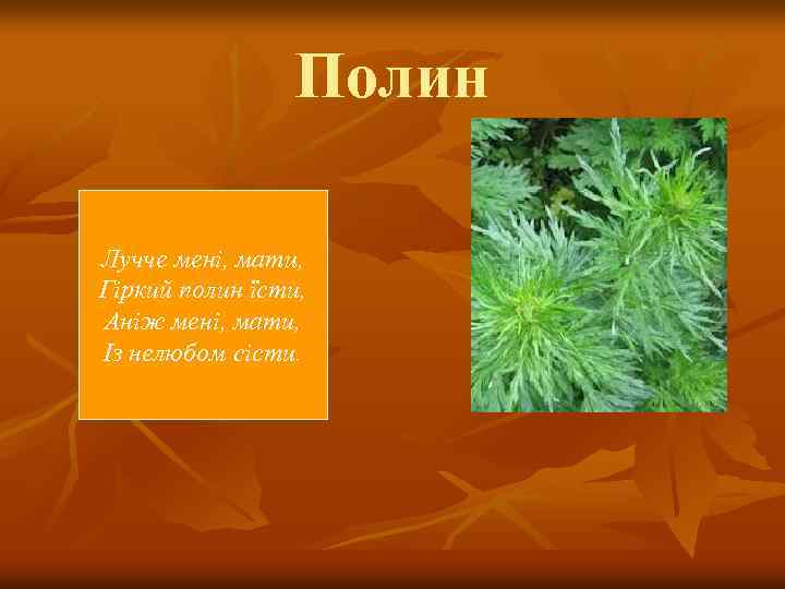 Полин Лучче мені, мати, Гіркий полин їсти, Аніж мені, мати, Із нелюбом сісти. 