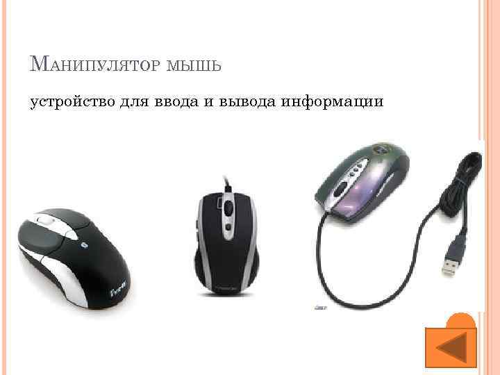 МАНИПУЛЯТОР МЫШЬ устройство для ввода и вывода информации 