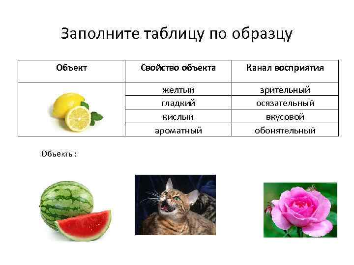 Заполните таблицу по образцу Объект Канал восприятия желтый гладкий кислый ароматный Объекты: Свойство объекта