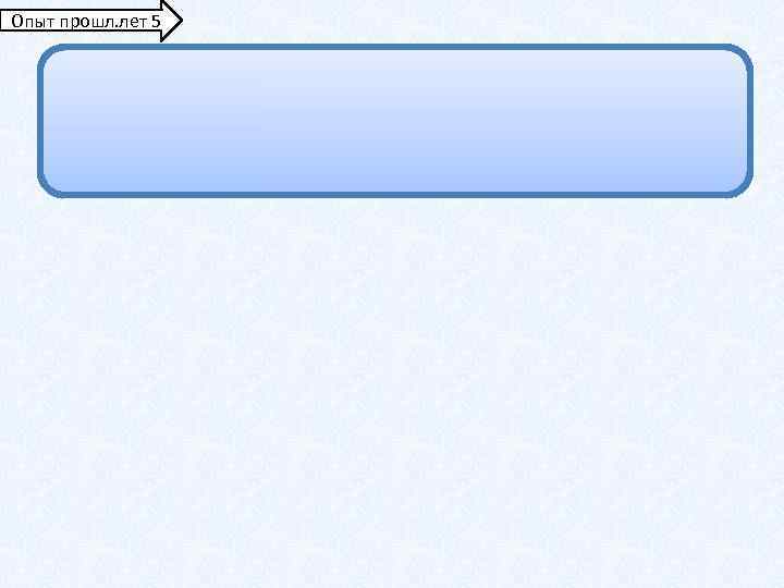 Опыт прошл. лет 5 