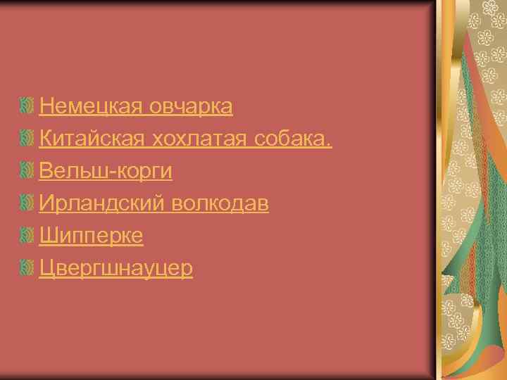 Немецкая овчарка Китайская хохлатая собака. Вельш корги Ирландский волкодав Шипперке Цвергшнауцер 