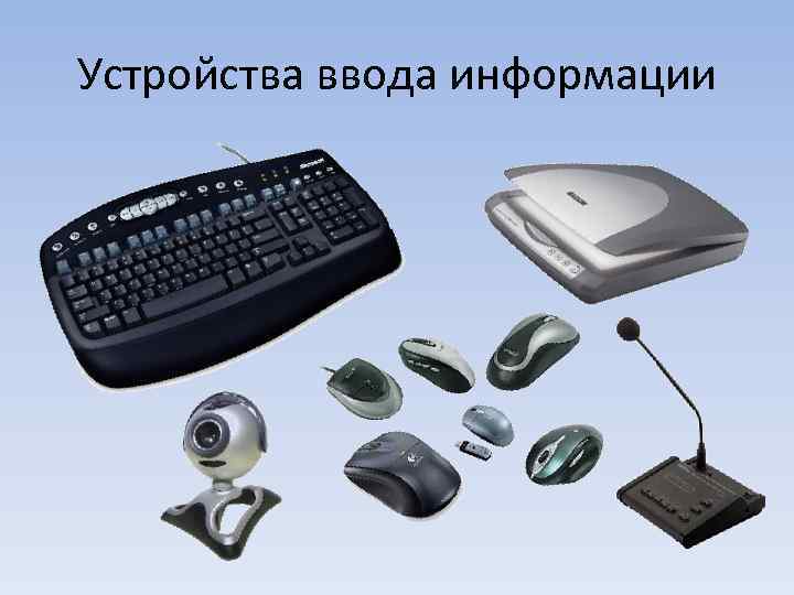 Устройства ввода информации 
