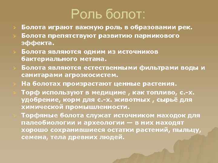 Роль болот: Ø Ø Ø Ø Болота играют важную роль в образовании рек. Болота