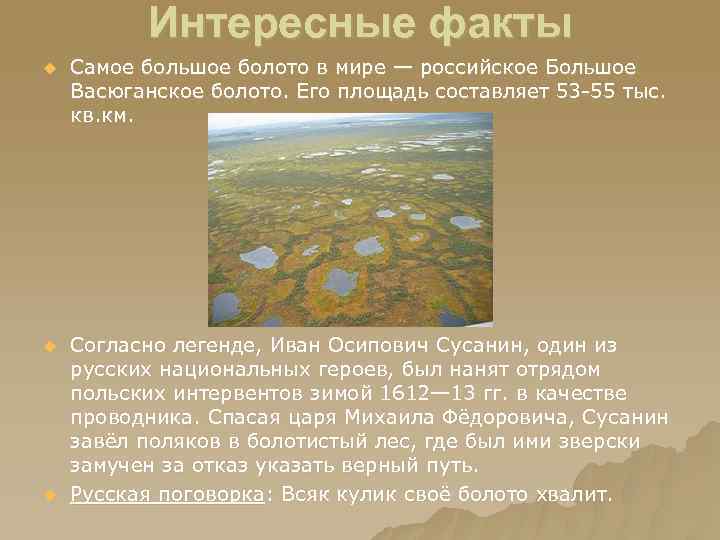 Интересные факты u Самое большое болото в мире — российское Большое Васюганское болото. Его