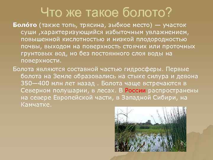 Что же такое болото? Боло то (также топь, трясина, зыбкое место) — участок суши