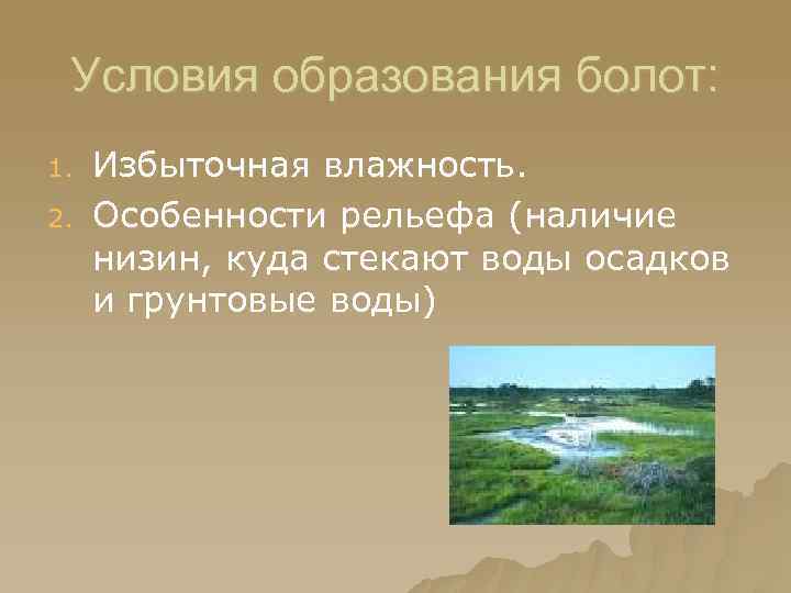 Условия образования болот: 1. 2. Избыточная влажность. Особенности рельефа (наличие низин, куда стекают воды