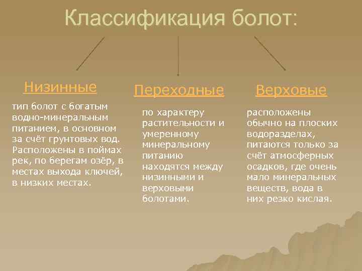 Классификация болот: Низинные тип болот с богатым водно-минеральным питанием, в основном за счёт грунтовых