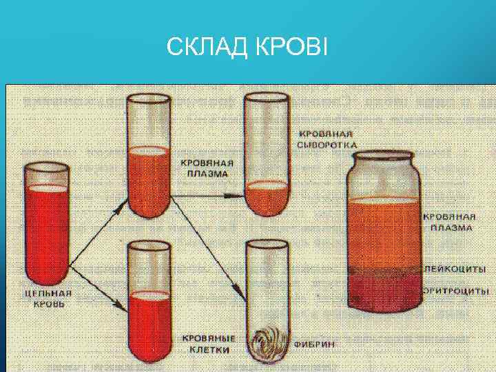 СКЛАД КРОВІ 