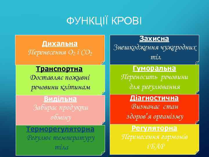 ФУНКЦІЇ КРОВІ Дихальна Захисна Перенесення О 2 і СО 2 Знешкодження чужеродних тіл Транспортна