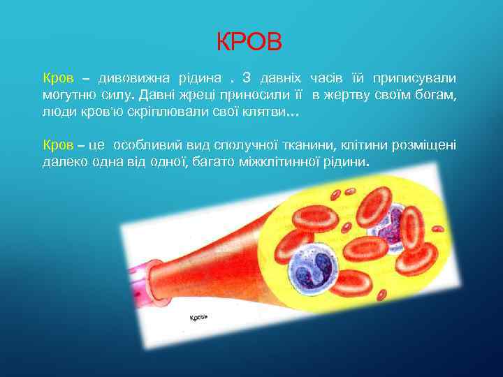 КРОВ Кров – дивовижна рідина. З давніх часів їй приписували могутню силу. Давні жреці