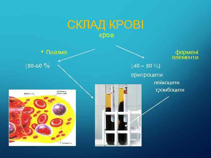 СКЛАД КРОВІ кров • (50 -60 Плазма % формені елементи (40 – 50 %)