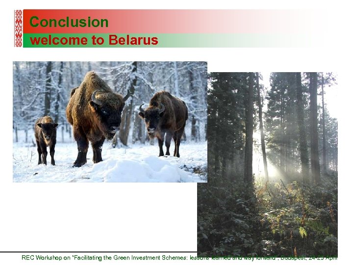 Conclusion welcome to Belarus REC Workshop on “Facilitating the Green Investment Schemes: lessons learned