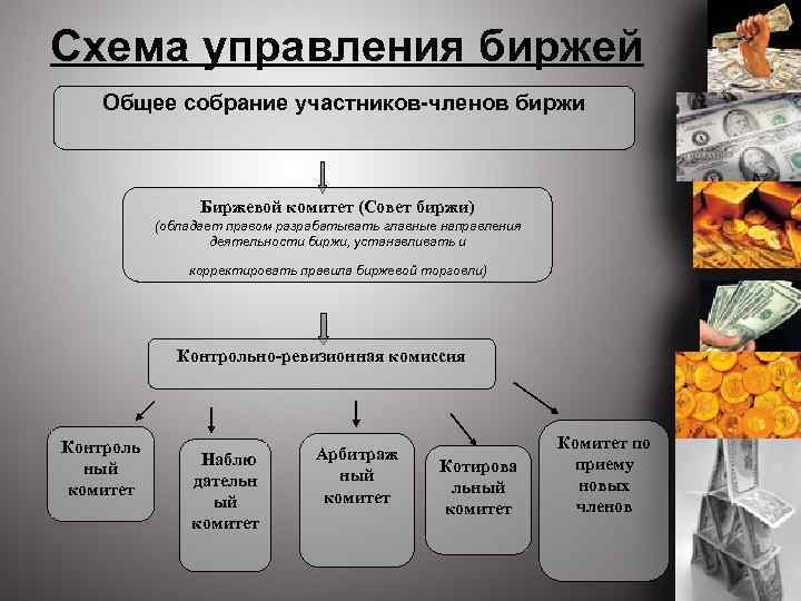 Схема управления биржей Общее собрание участников-членов биржи Биржевой комитет (Совет биржи) (обладает правом разрабатывать