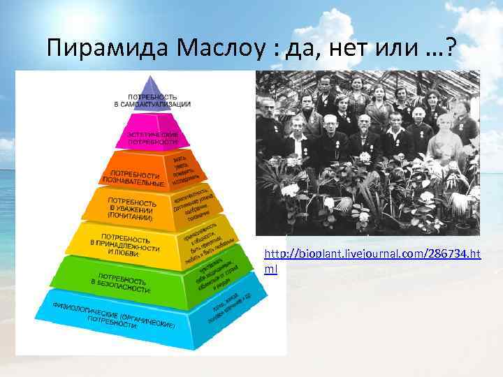 Пирамида Маслоу : да, нет или …? http: //bioplant. livejournal. com/286734. ht ml 