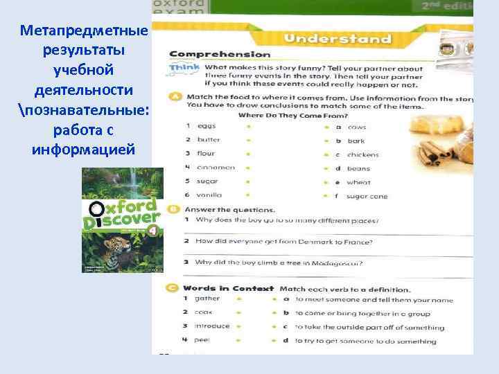 Метапредметные результаты учебной деятельности познавательные: работа с информацией 