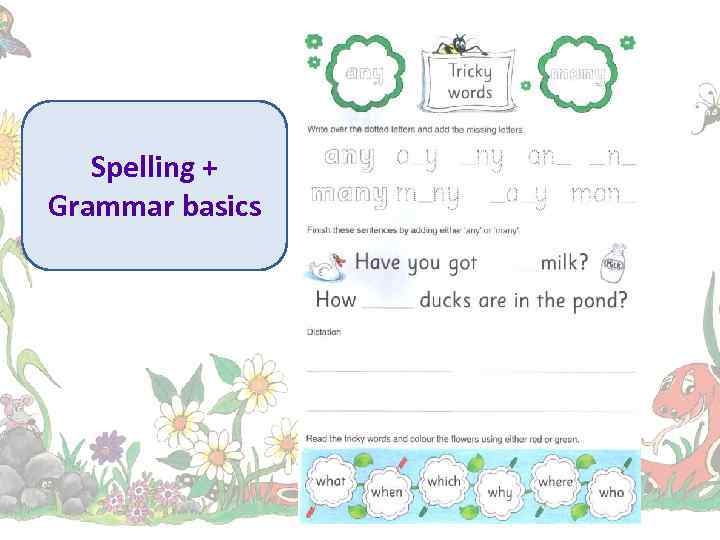 Spelling + Grammar basics 