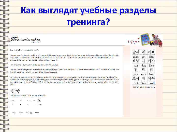 Как выглядят учебные разделы тренинга? 