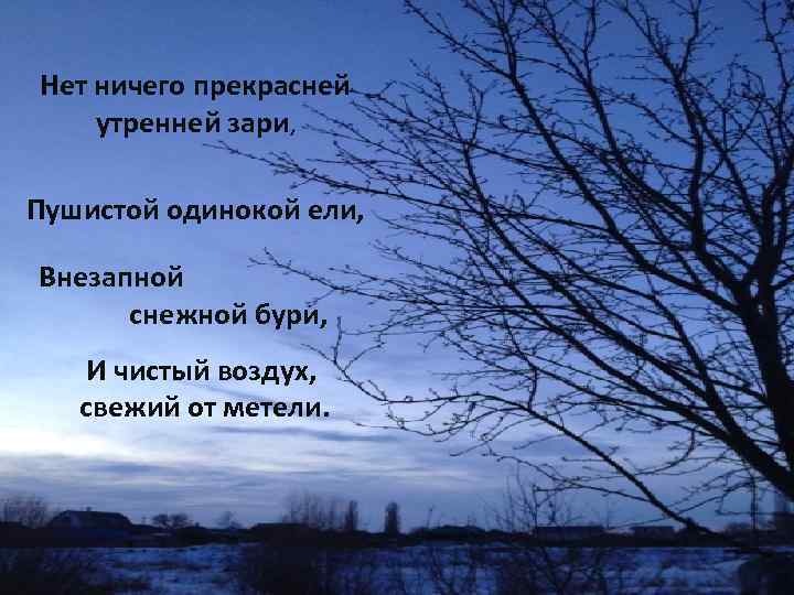 Нет ничего прекрасней утренней зари, Пушистой одинокой ели, Внезапной снежной бури, И чистый воздух,