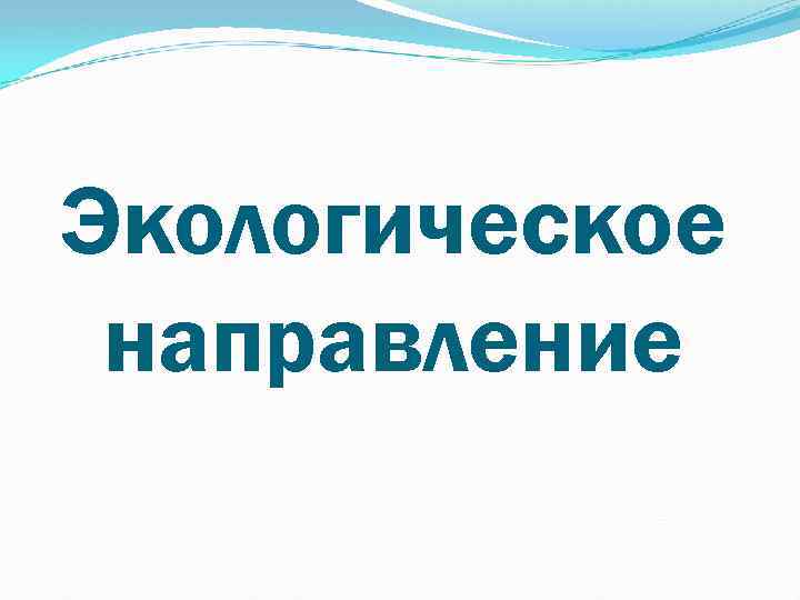 Экологическое направление 