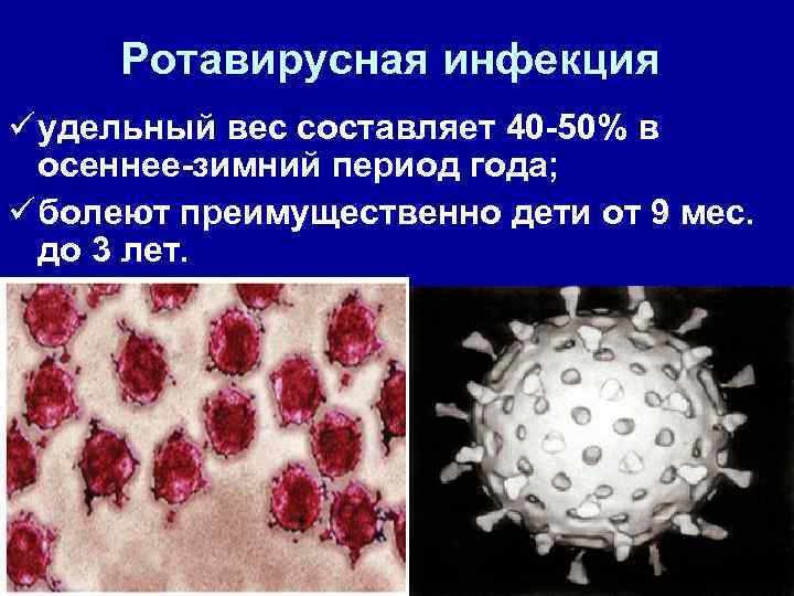 Ротавирусная инфекция ü удельный вес составляет 40 -50% в осеннее-зимний период года; ü болеют