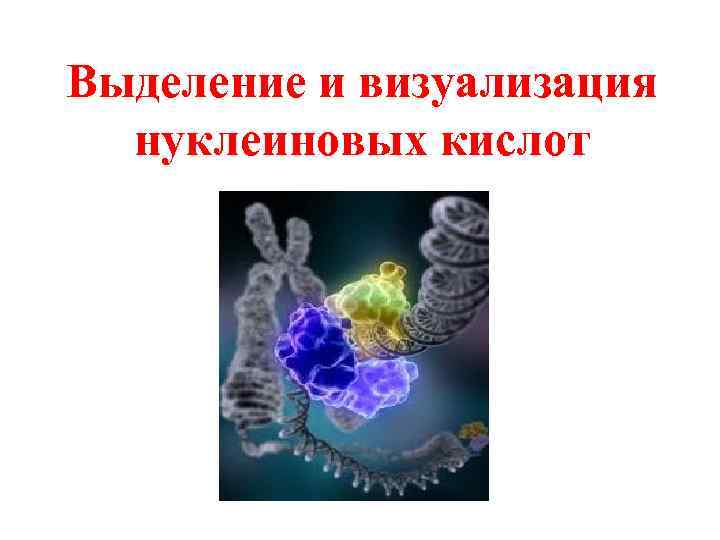Выделение и визуализация нуклеиновых кислот 