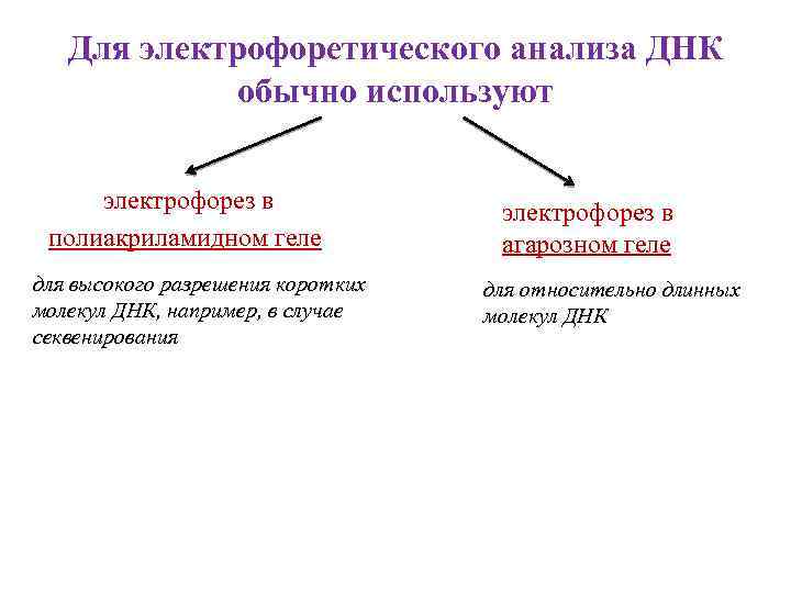 Для электрофоретического анализа ДНК обычно используют электрофорез в полиакриламидном геле для высокого разрешения коротких