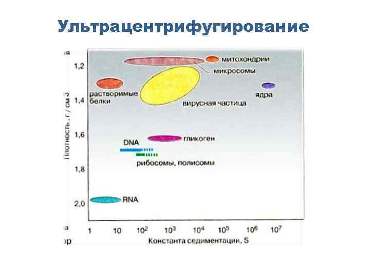 Ультрацентрифугирование 