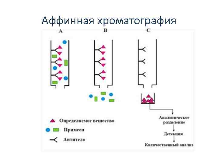 Аффинная хроматография 