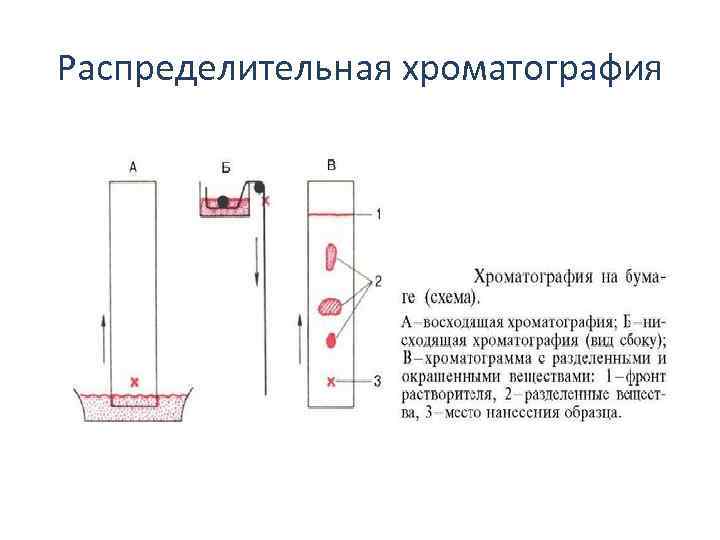 Схема препаративной хроматографии