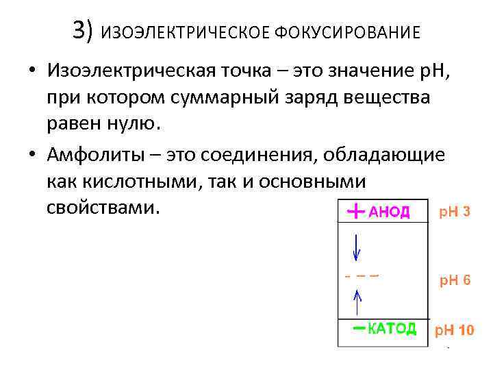3) ИЗОЭЛЕКТРИЧЕСКОЕ ФОКУСИРОВАНИЕ • Изоэлектрическая точка – это значение р. Н, при котором суммарный