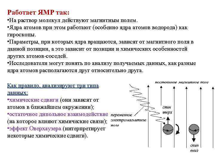 Работает ЯМР так: • На раствор молекул действуют магнитным полем. • Ядра атомов при