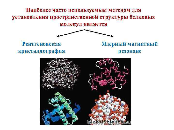 Исследование белков. Кристаллография белков. Методы изучения структуры белков. Методы установления пространственной структуры белков.. Методы изучения структуры белковой молекулы.