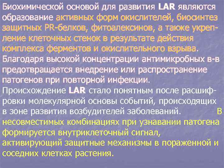 Биохимической основой для развития LAR являются образование активных форм окислителей, биосинтез защитных PR-белков, фитоалексинов,