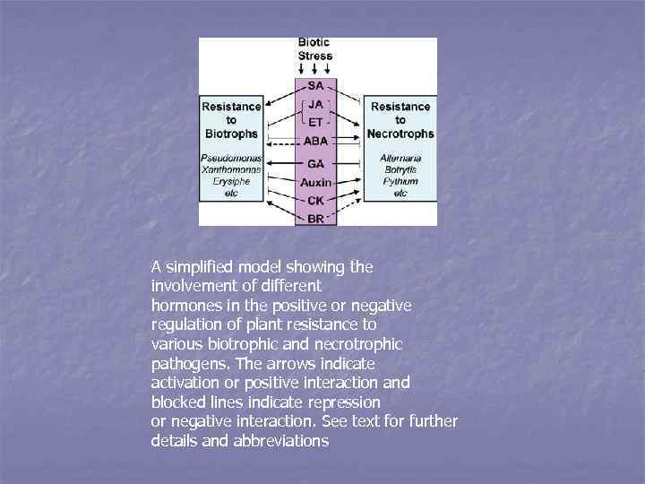 A simplified model showing the involvement of different hormones in the positive or negative