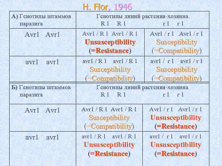 H. Flor, 1946 А) Генотипы штаммов паразита Генотипы линий растения-хозяина R 1 r 1