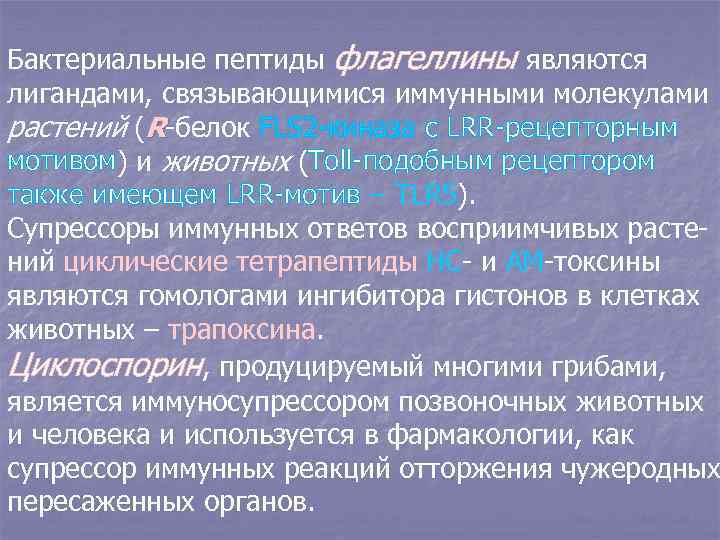 Бактериальные пептиды флагеллины являются лигандами, связывающимися иммунными молекулами растений (R-белок FLS 2 -киназа с