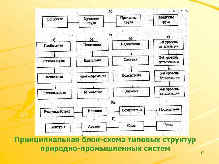 Структура типичной сеньории схема