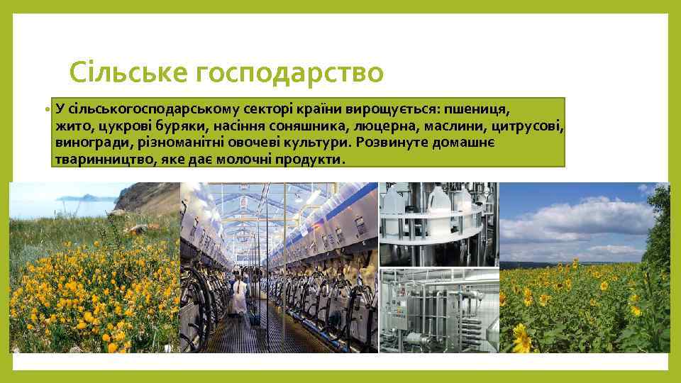 Сільське господарство • У сільськогосподарському секторі країни вирощується: пшениця, жито, цукрові буряки, насіння соняшника,