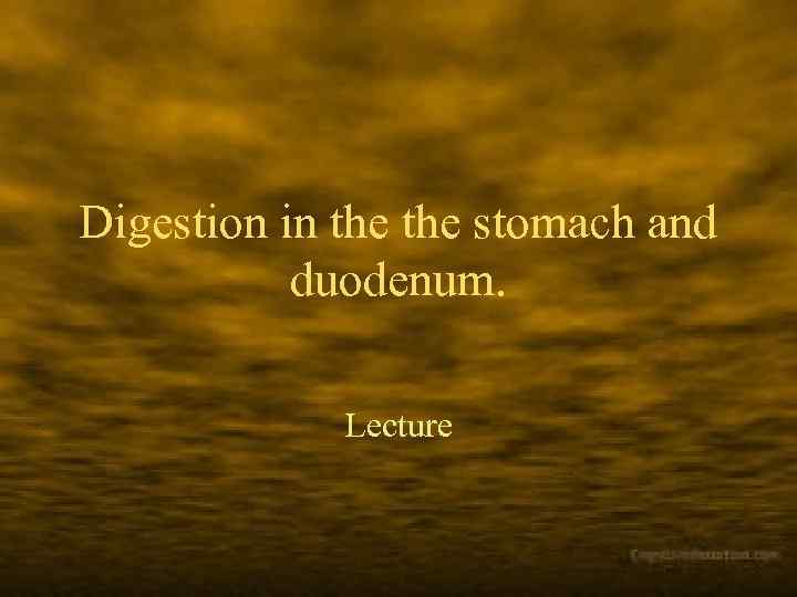 Digestion in the stomach and duodenum. Lecture 