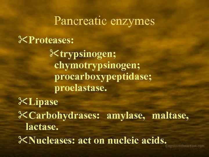 Pancreatic enzymes &Proteases: &trypsinogen; chymotrypsinogen; procarboxypeptidase; proelastase. &Lipase &Carbohydrases: amylase, maltase, lactase. &Nucleases: act