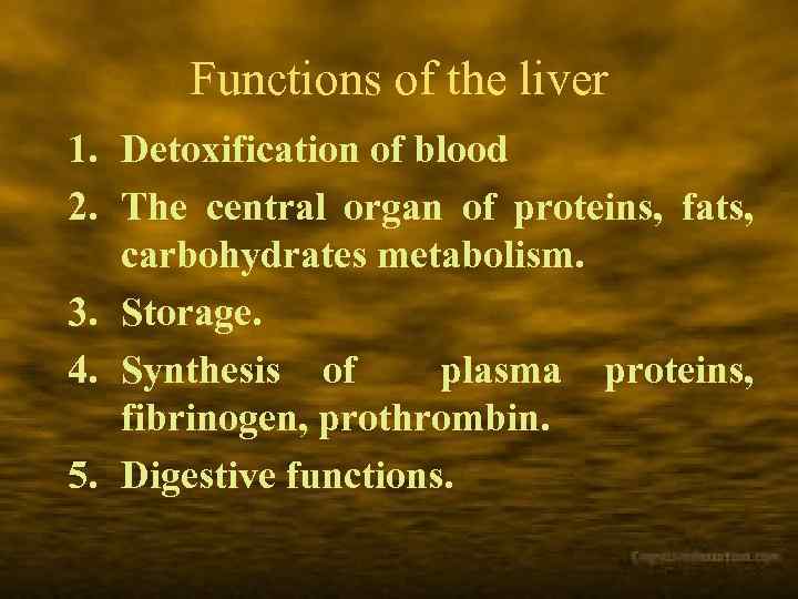 Functions of the liver 1. Detoxification of blood 2. The central organ of proteins,