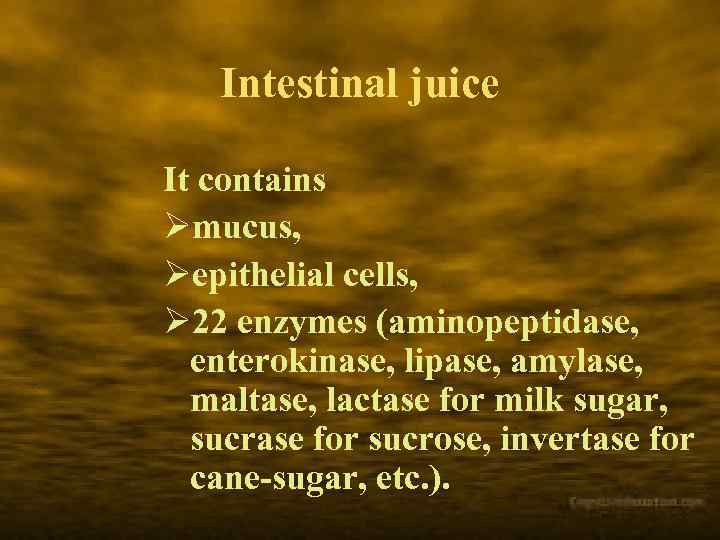 Intestinal juice It contains Ømucus, Øepithelial cells, Ø 22 enzymes (aminopeptidase, enterokinase, lipase, amylase,